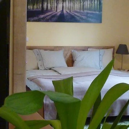 Klessheim * זלצבורג